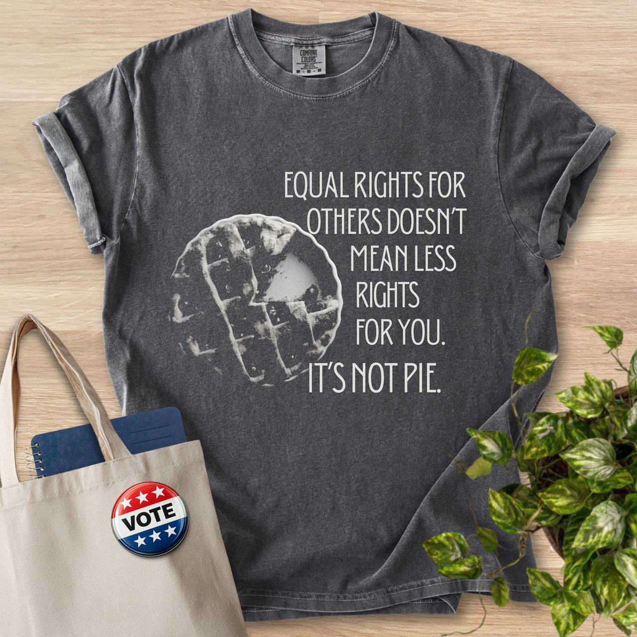 Vintage Washed Equal Rights 'It's Not Pie'