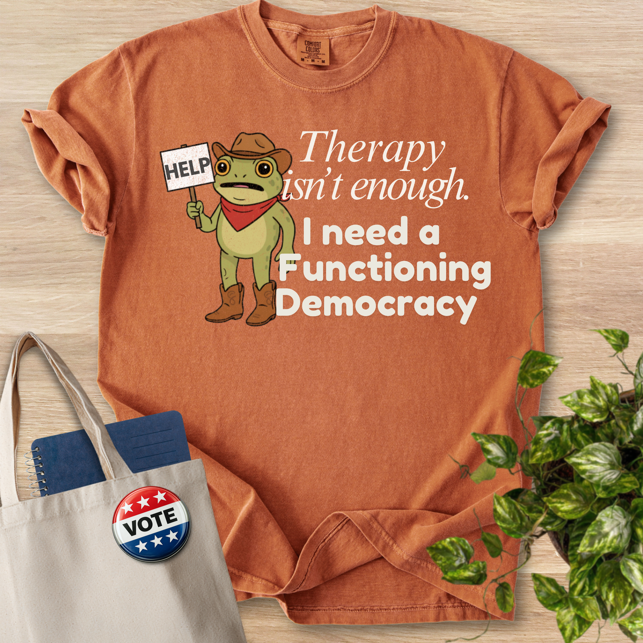 I Need a Functioning Democracy